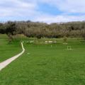 Riddlesdown