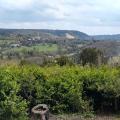 Surrey Hills view