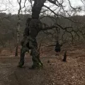 "Groot" Tree 