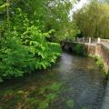 River Darent 