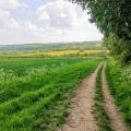 Darent Valley general view