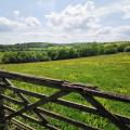 Darent Valley general view