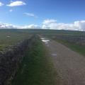 Limestone country