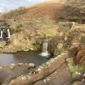 3 Shires Head