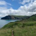 Coastal path