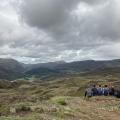 Cwm Bychan Summit 2