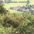 Llanthony Priory