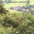 Llanthony Priory