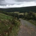 Scenic Road near Llanthony