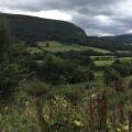 Scenic view at Llanthony
