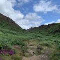 Cwm Bychan Mountain Pass