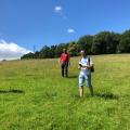 ODL's in a field