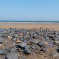 Pebbles on the beach Marske Beach