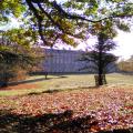 Petworth House and Park in dappled sunlight
