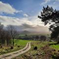 Amazing framed view looking down track through trees to Roseberry Topping hill in the winter sunshine 