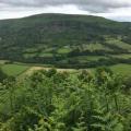 Scenic View from the Beacons Way