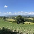Scenic Wales