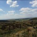 Shining Tor