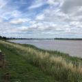Severn at Newnham