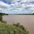 Severn near Newnham