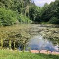 Soudley Pond
