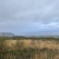 View over Minehead