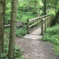 Wooden Bridge