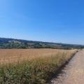 Views of a bridleway and a field