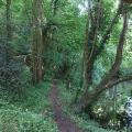 Park in Bristol