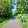 Netham Park
