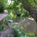 Park in Bristol