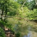 Picture of River Frome