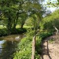 Picture of River Frome