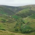 Cheviots - typical valley view
