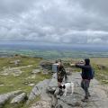 Dartmoor tor