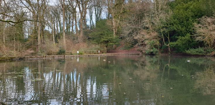 Abbots Pool