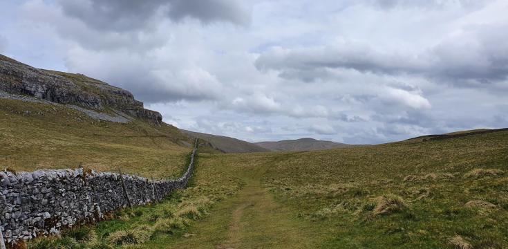 Drystone wall and limestone scar