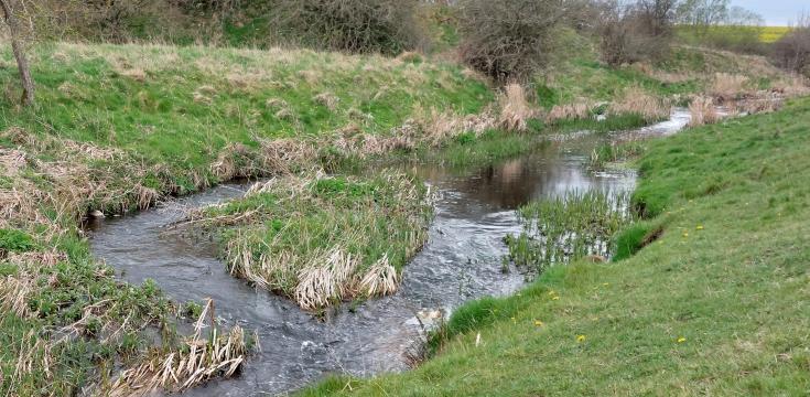 Stream passing through field