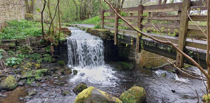 Stream outside Allendale Town