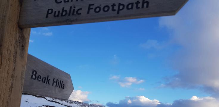 Onward to Beak Hills