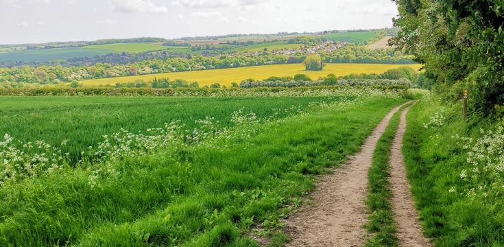 Darent Valley general view 