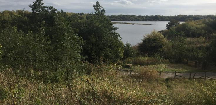 Pennington Flash