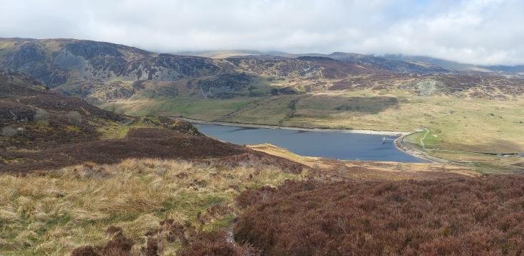 Llyn Cowlyd from High Up