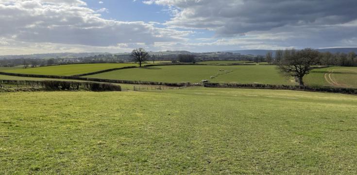 Rolling Hills Near Raglan