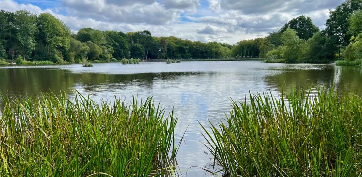 Shipley Park lake wide