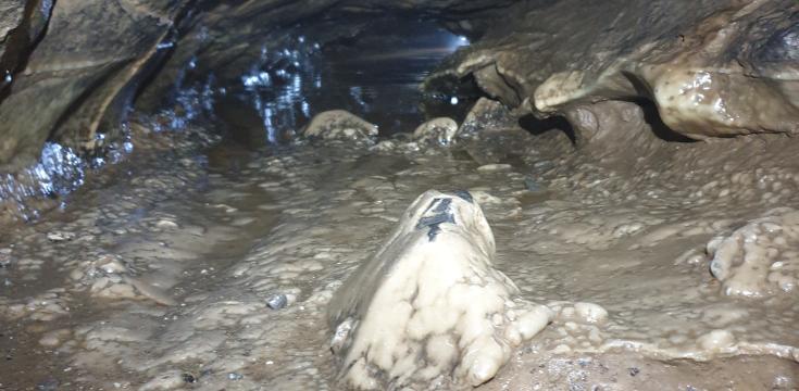 The wind pipe crawl.
