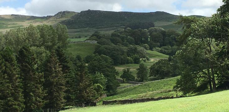 View across valley to woodland and hill