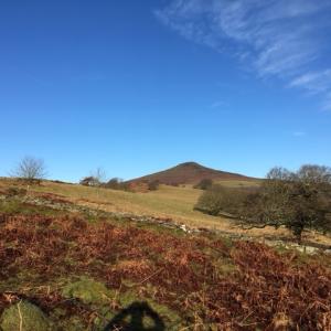 Sugar Loaf