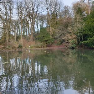 Abbots Pool