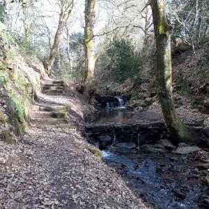 The Clough, near Biddulph Grange